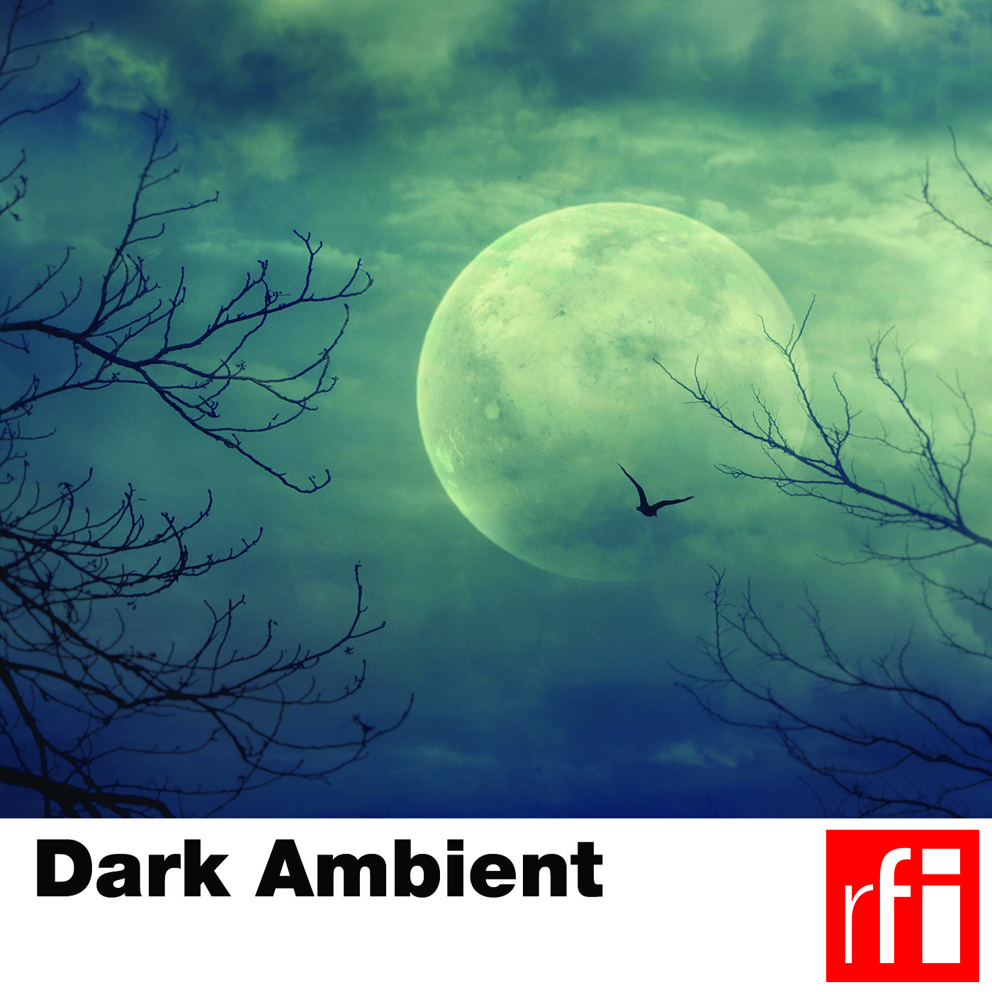 A Dark Sinister