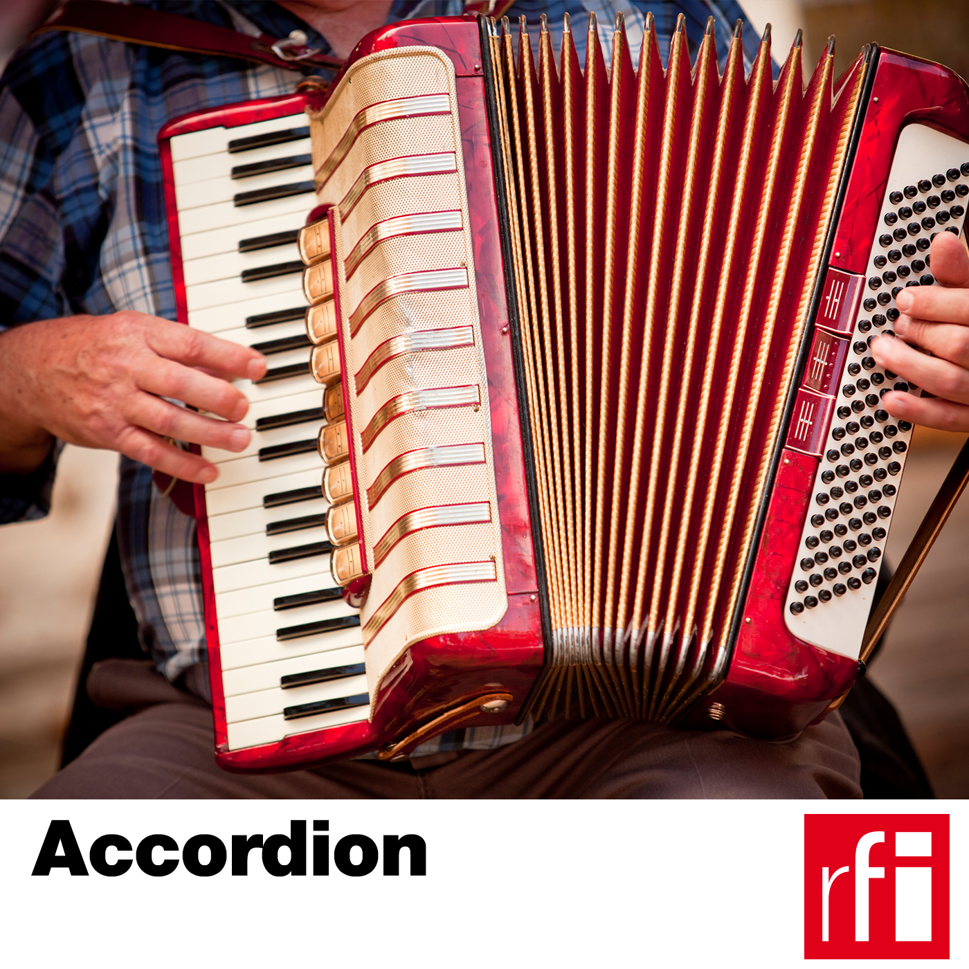 Joyful Accordion