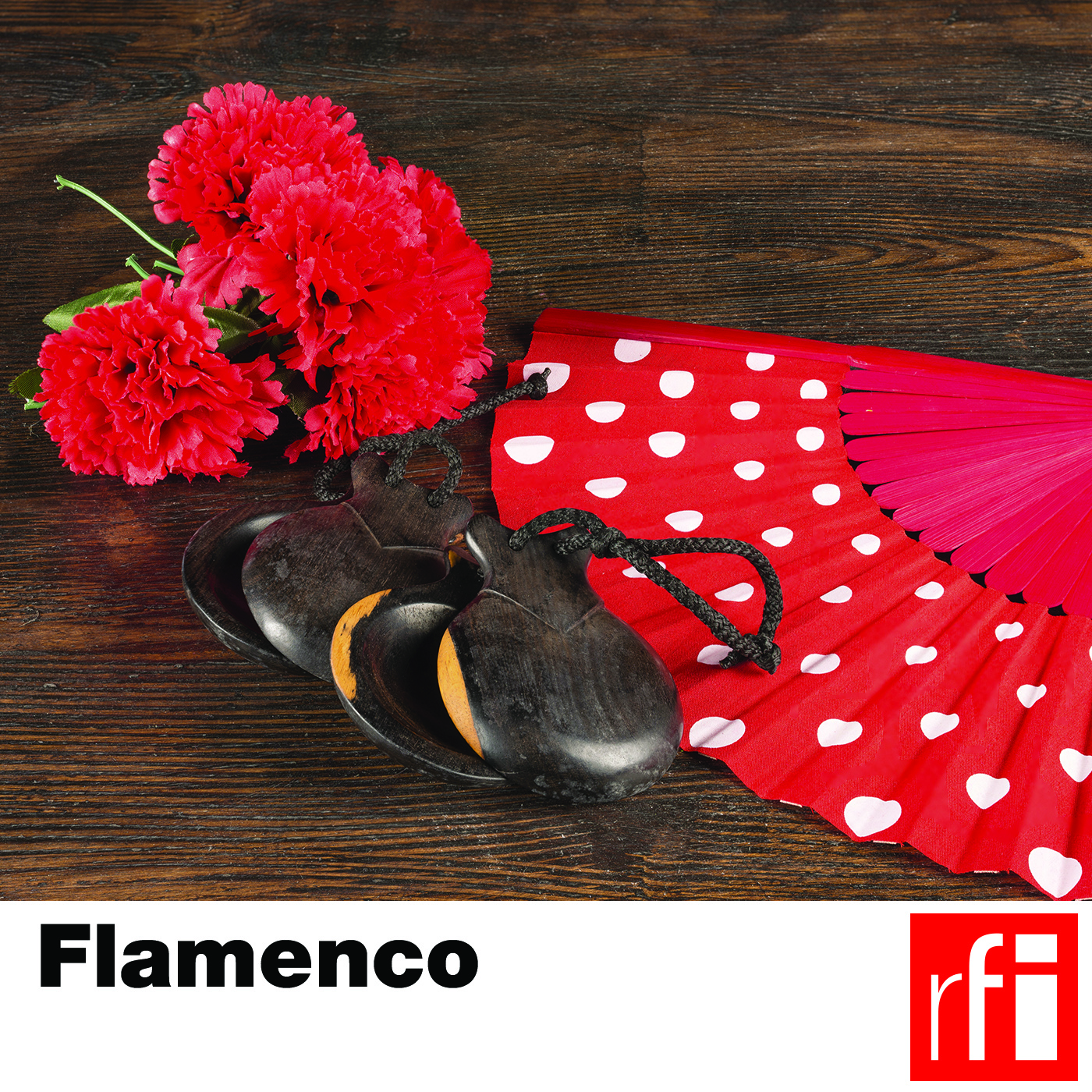 Flamenco 1