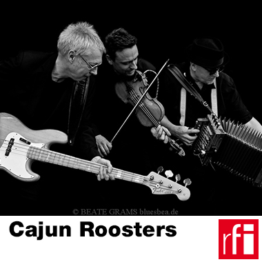 Cajun Roosters